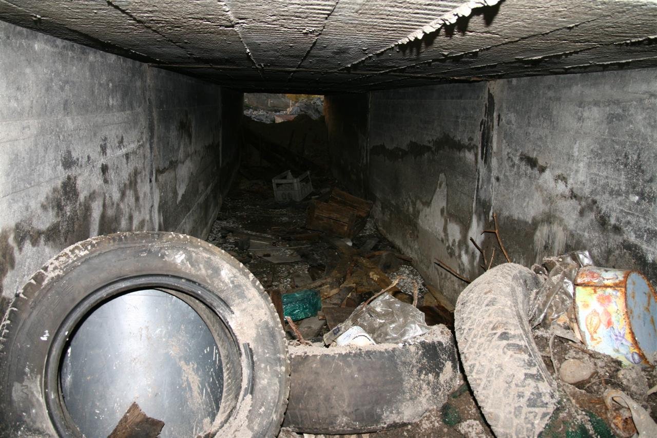 photo9.jpg