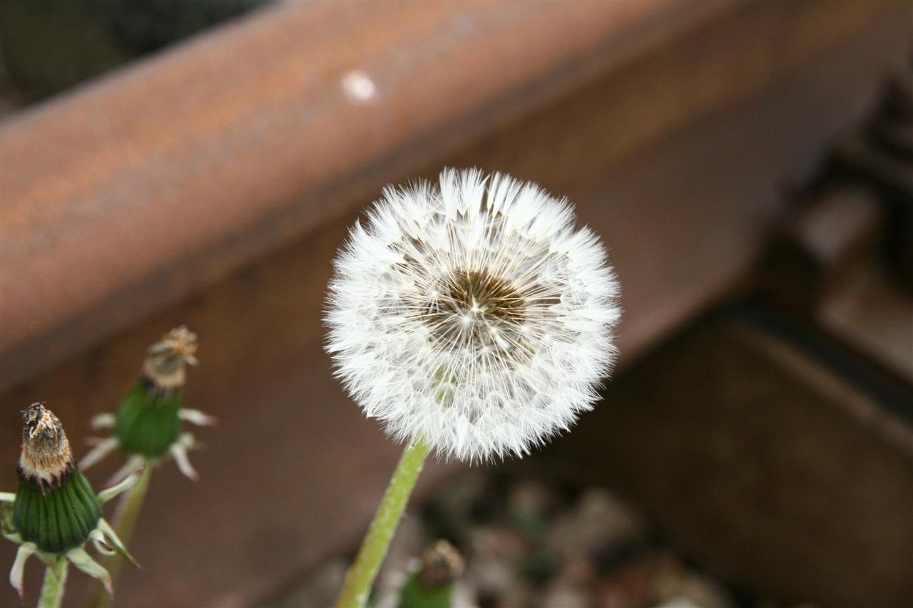 photo15.jpg