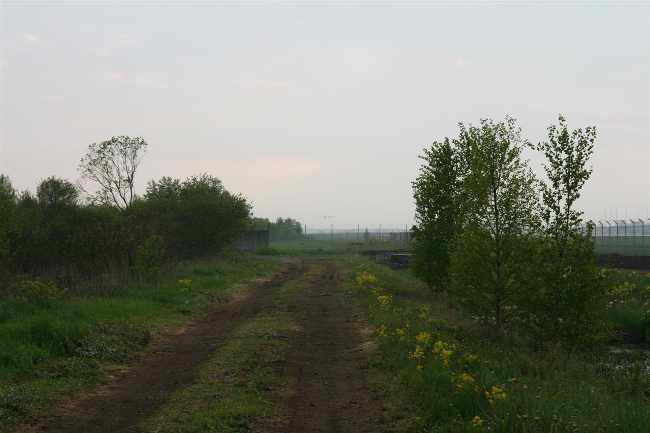 photo174.jpg