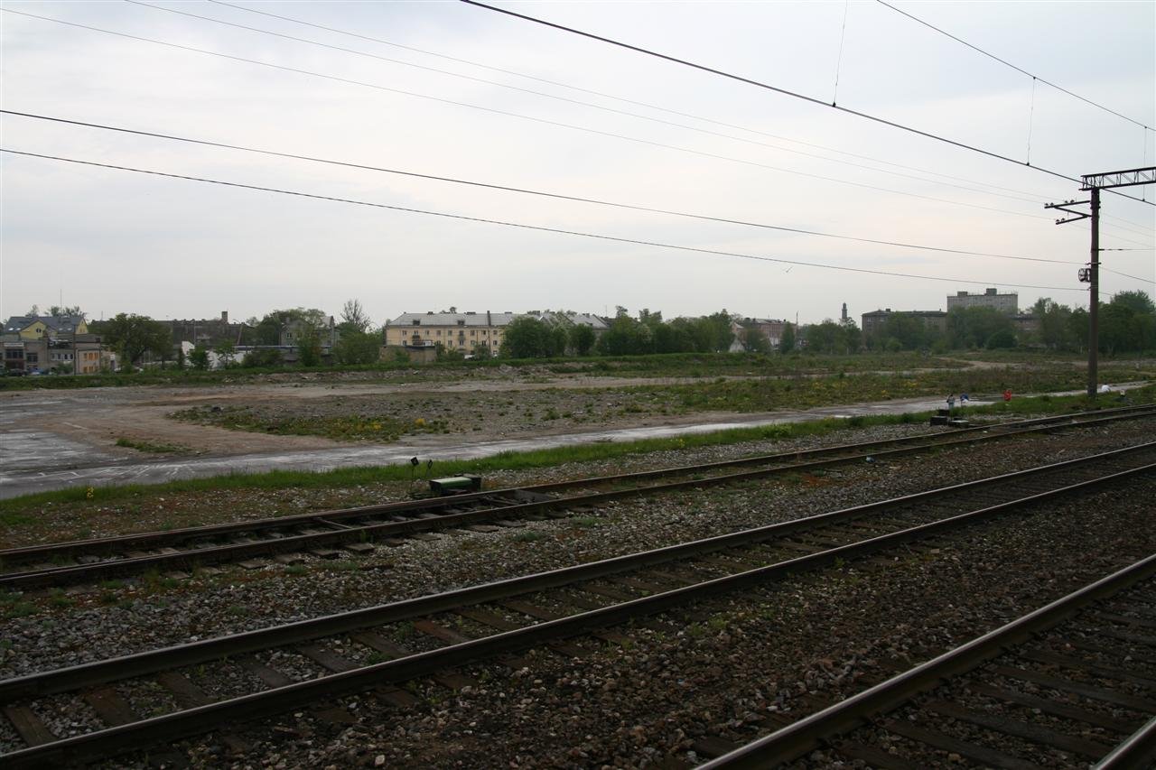 photo35.jpg