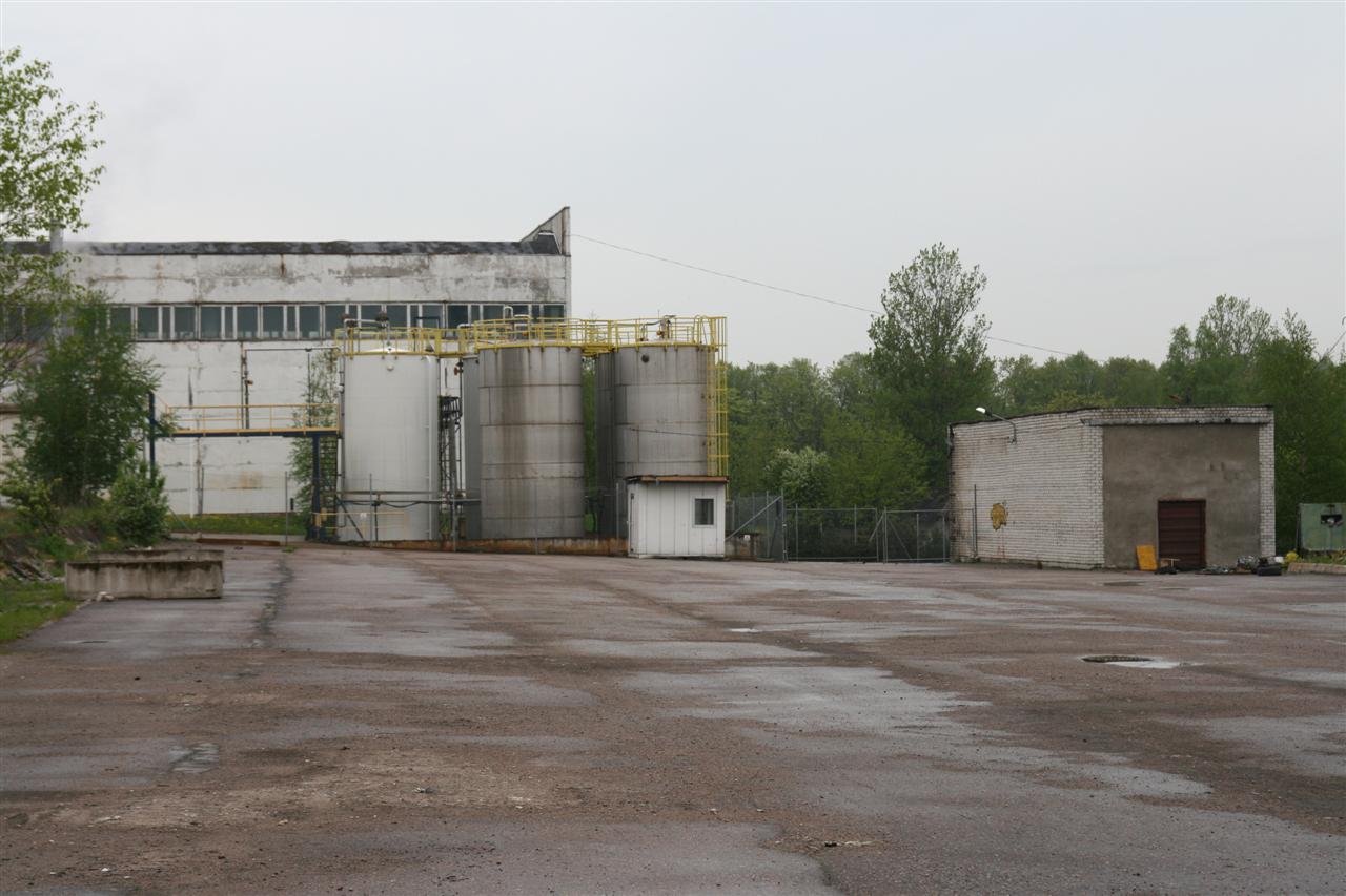 photo9.jpg