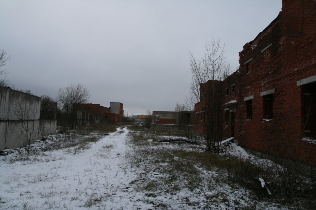 photo57.jpg