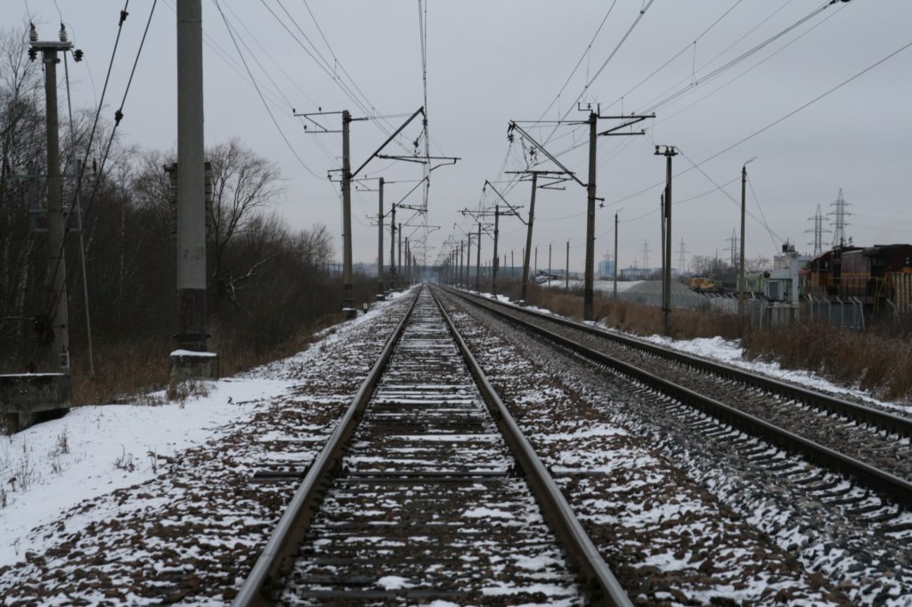 photo65.jpg