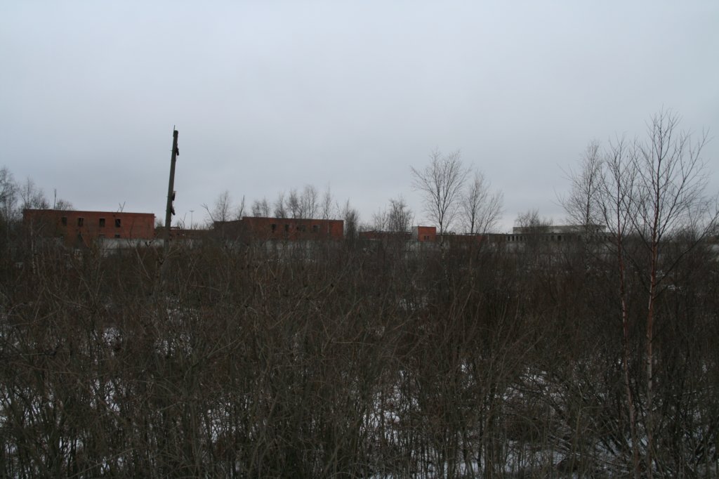 photo84.jpg