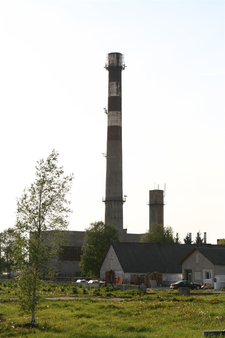 photo11.jpg