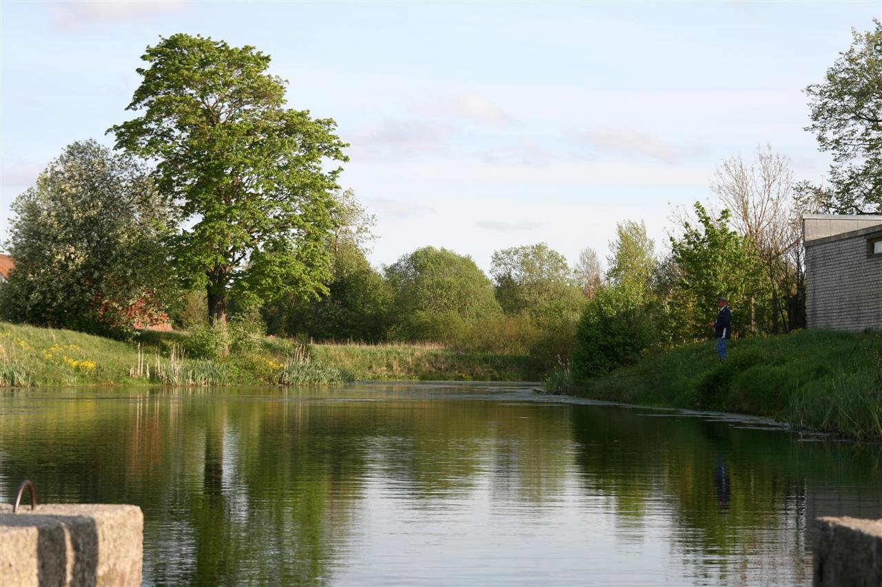 photo24.jpg