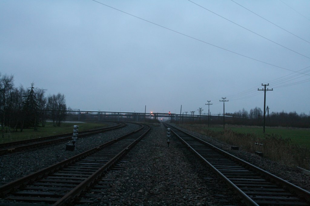 photo46.jpg