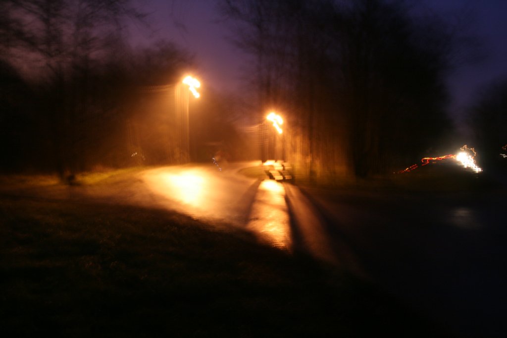 photo58.jpg