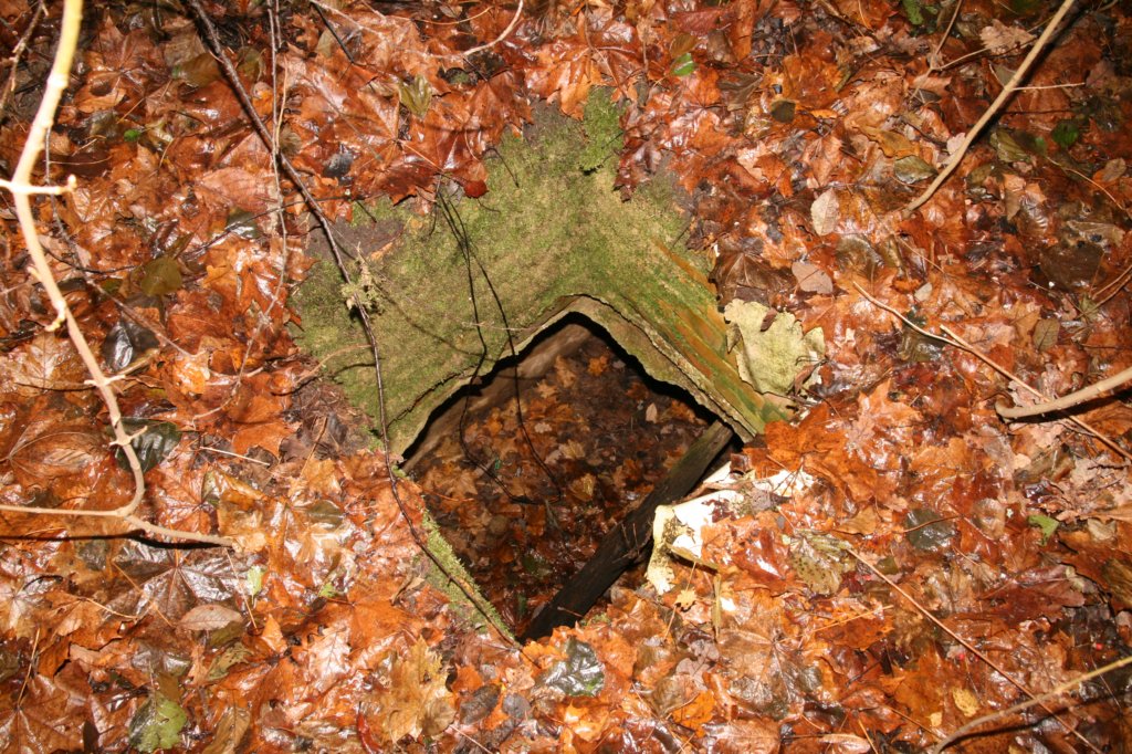 photo7.jpg