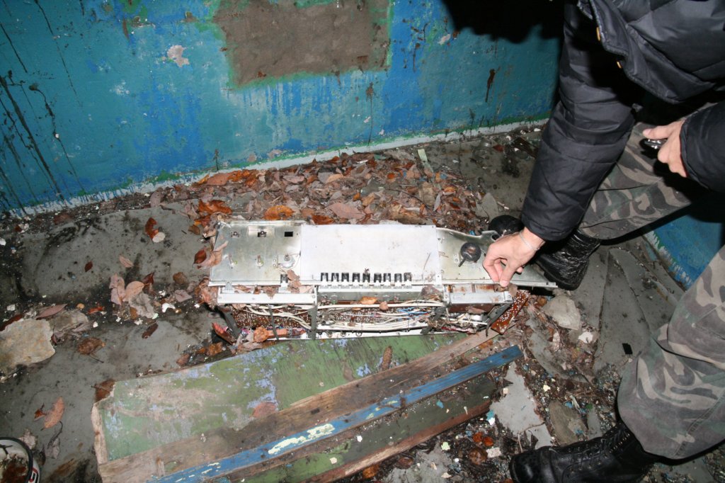 photo9.jpg