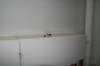 photo99_small.jpg