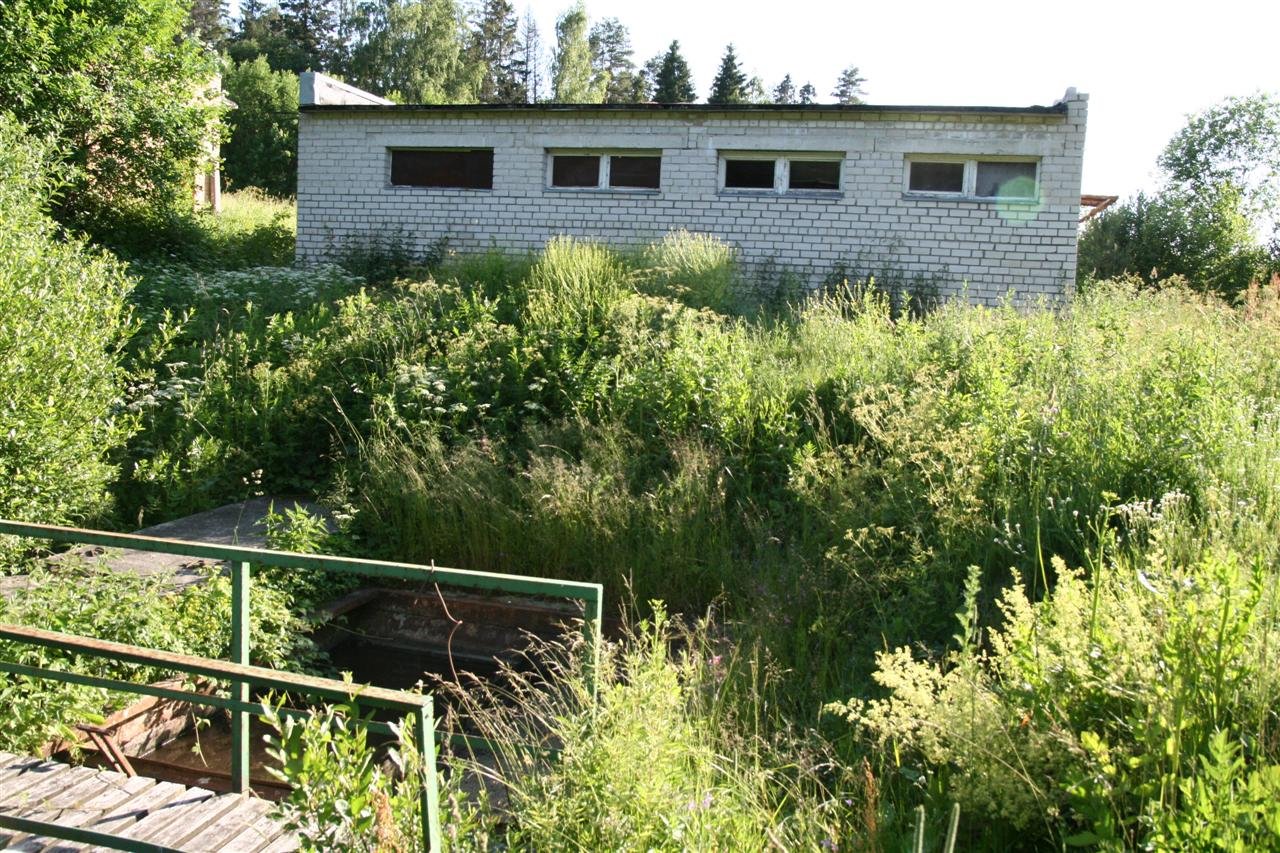 photo20.jpg