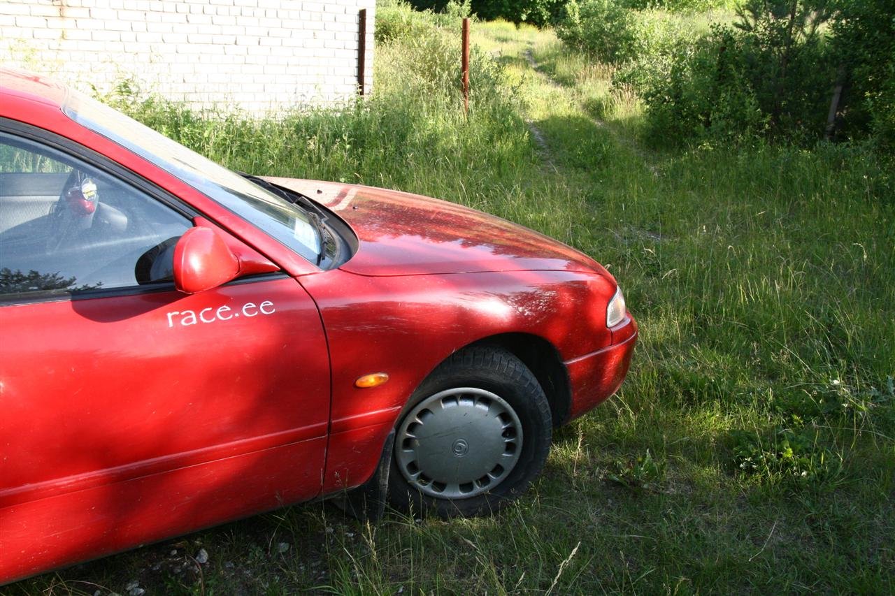 photo23.jpg
