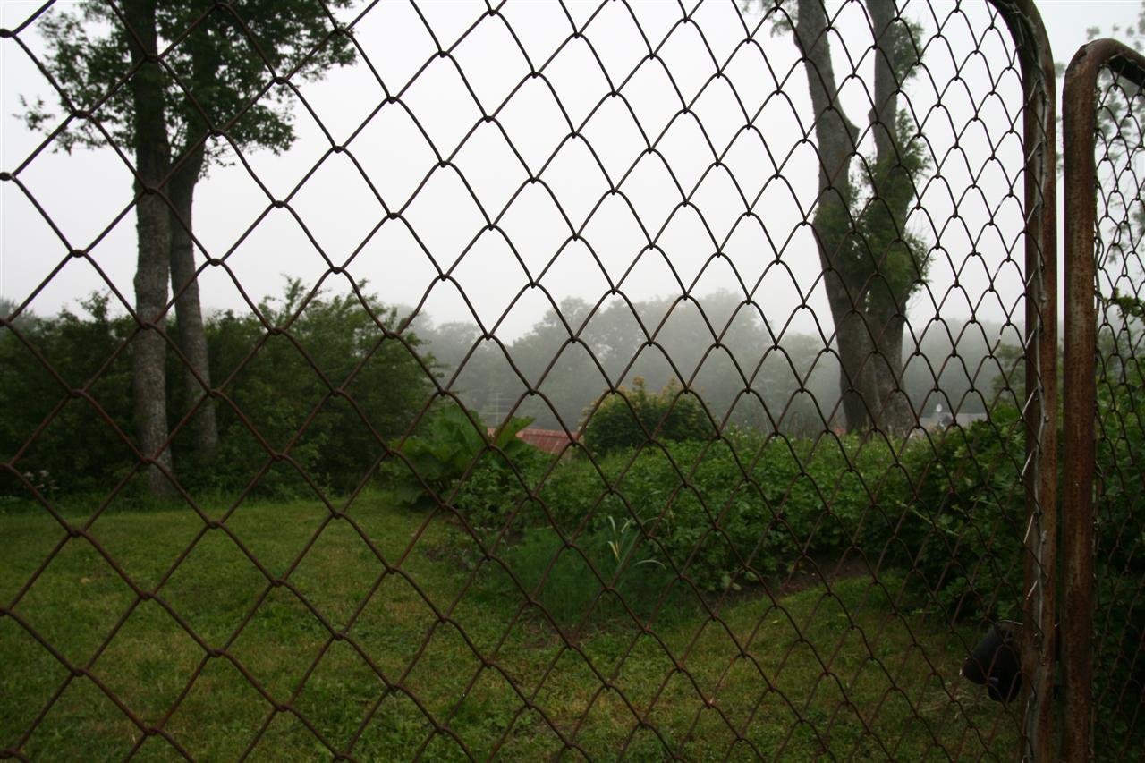 photo15.jpg