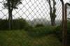 photo15_small.jpg