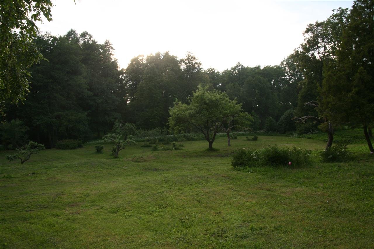 photo2.jpg