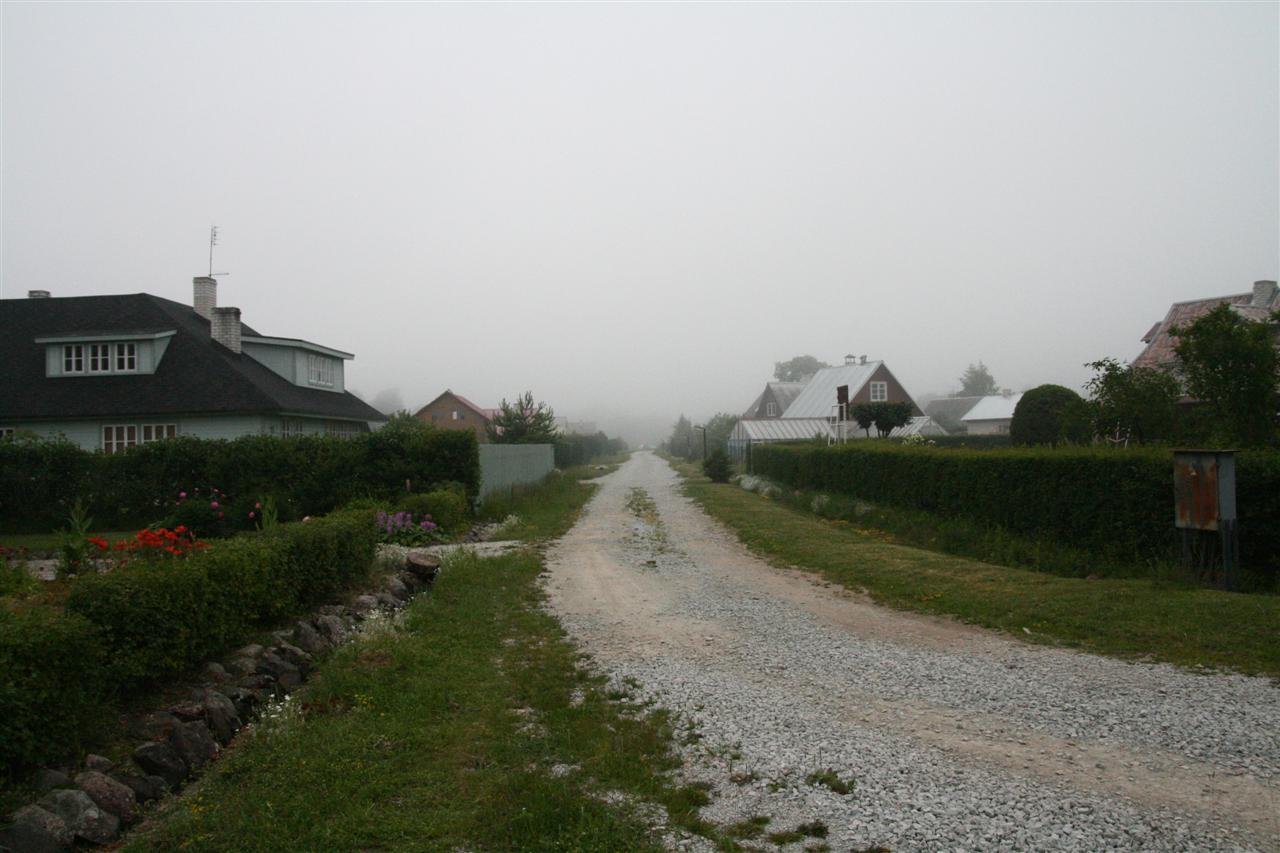photo22.jpg