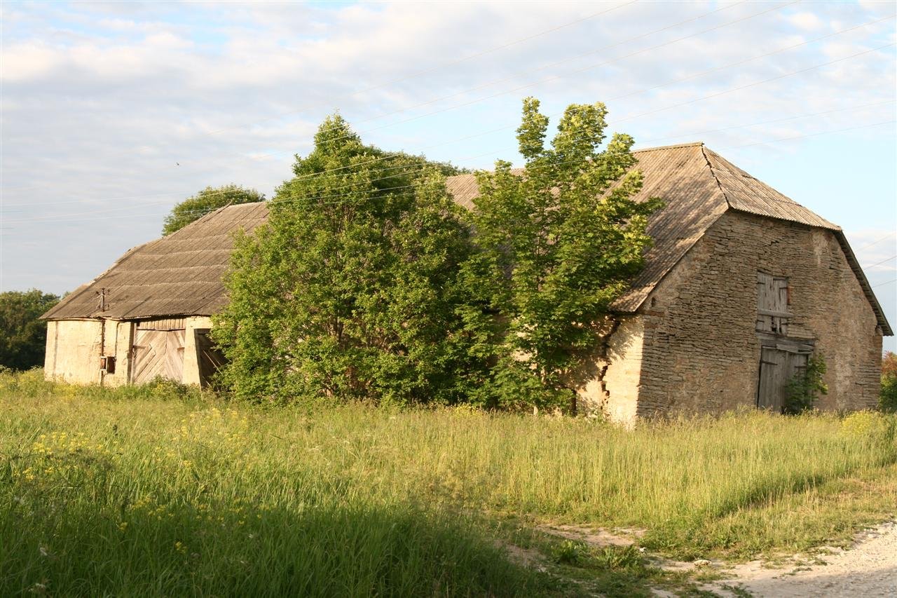 photo5.jpg