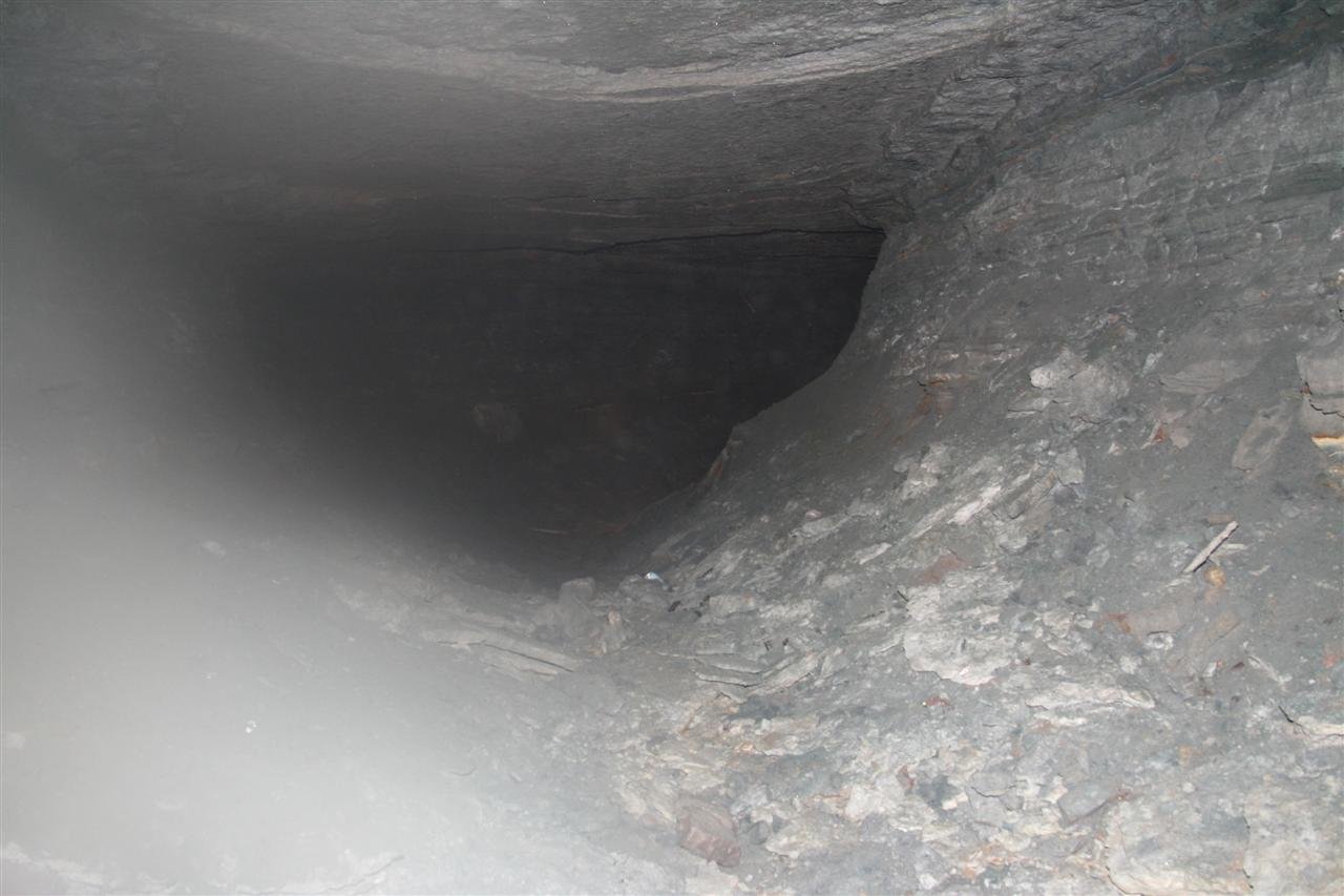 photo69.jpg