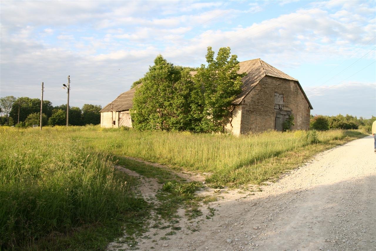photo7.jpg