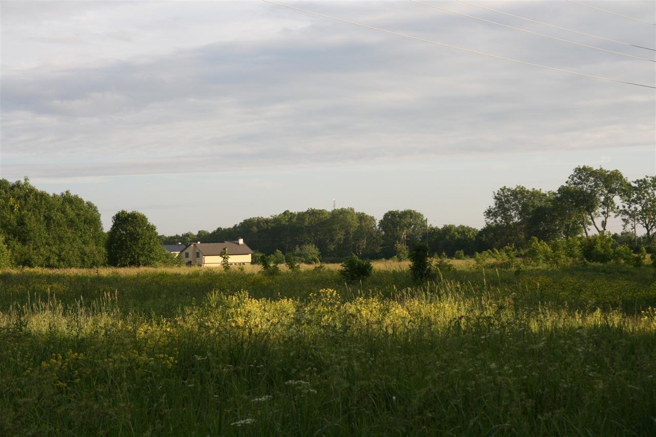 photo8.jpg