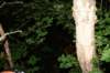 photo91_small.jpg