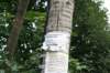 photo9_small.jpg