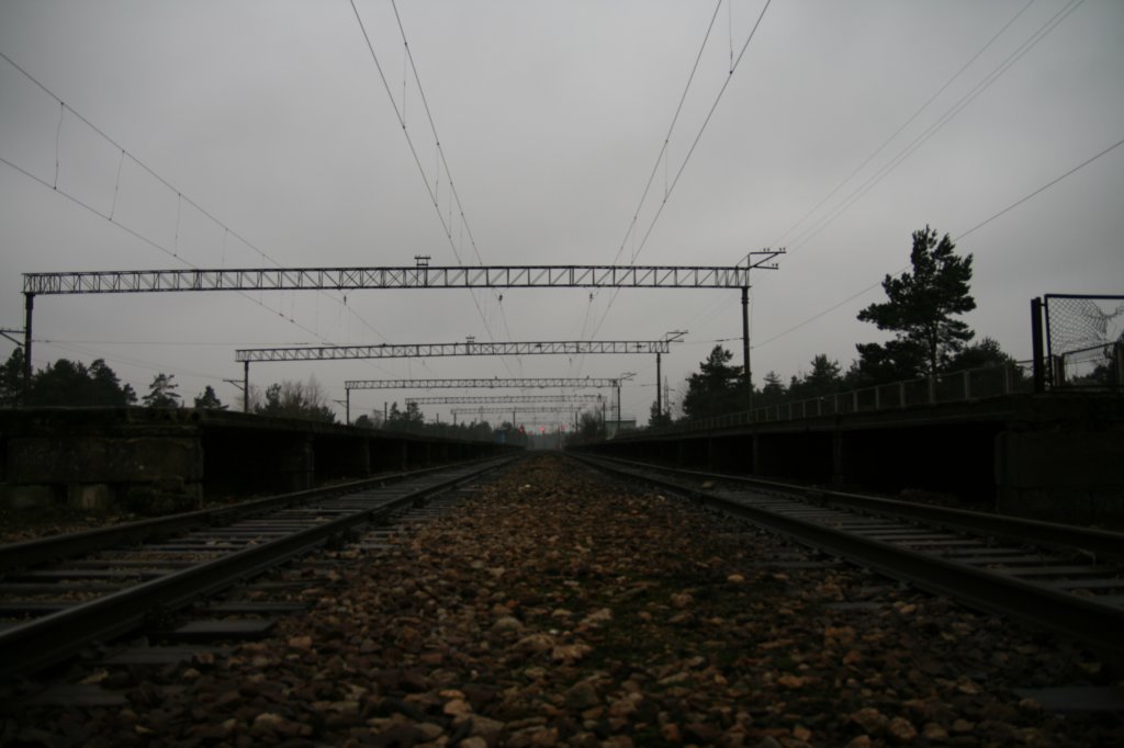 photo91.jpg