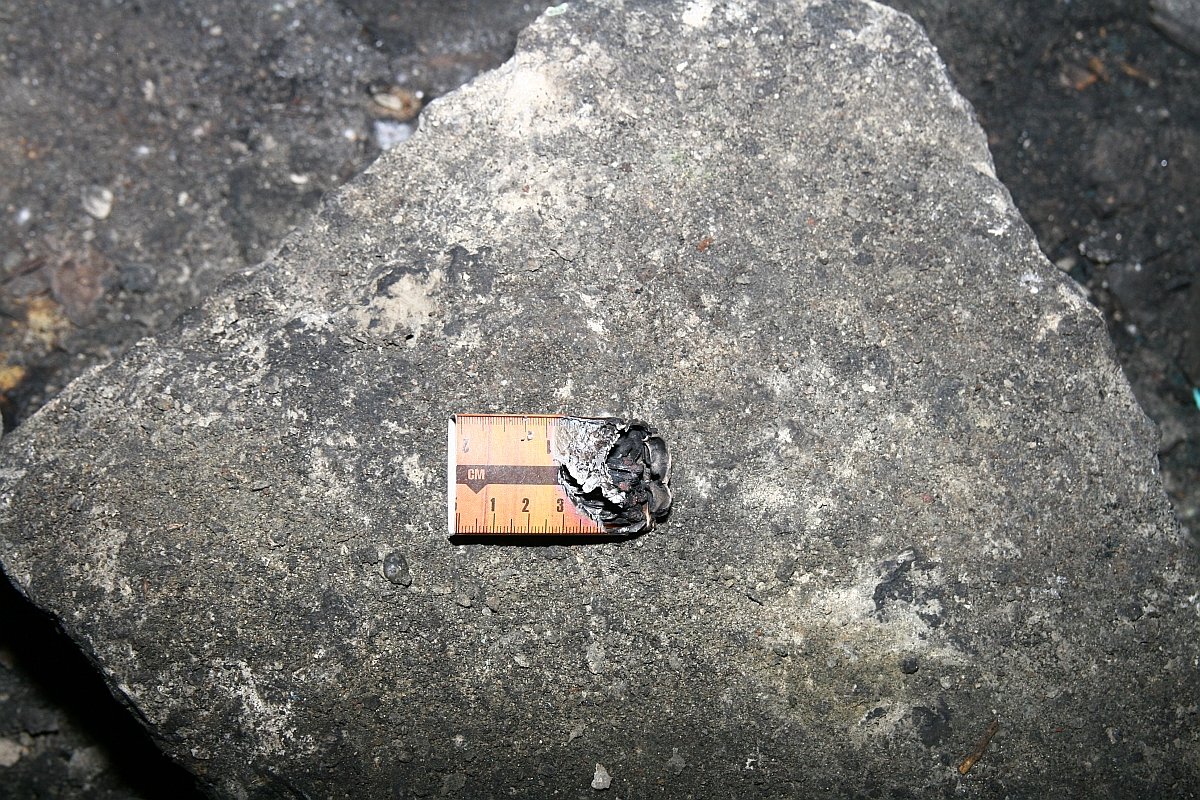 photo34.jpg