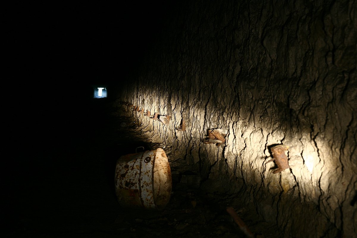 photo44.jpg