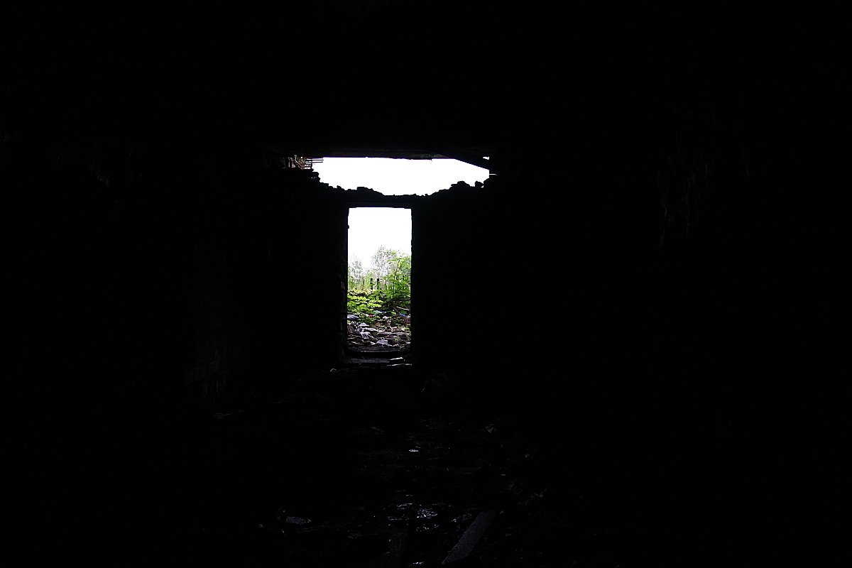 photo5.jpg