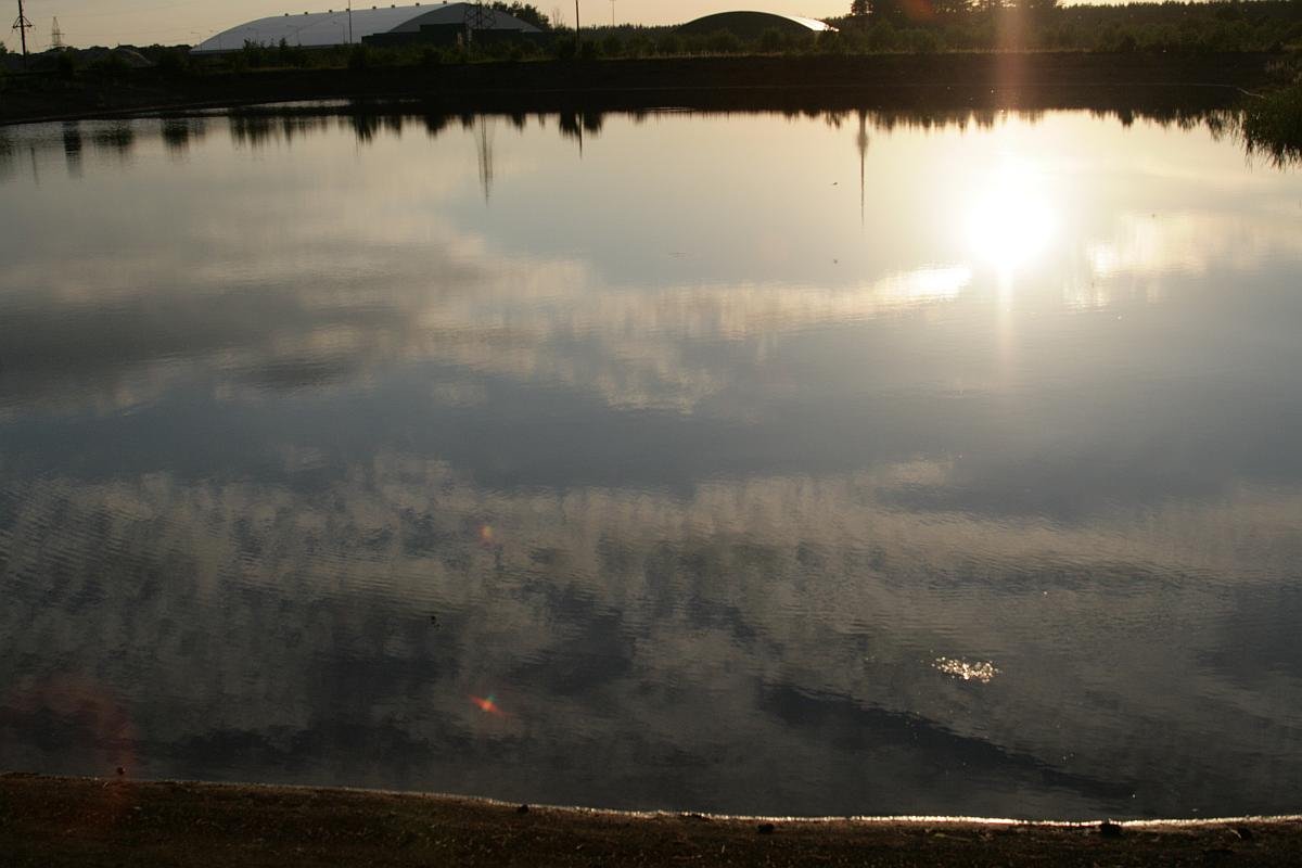 photo8.jpg