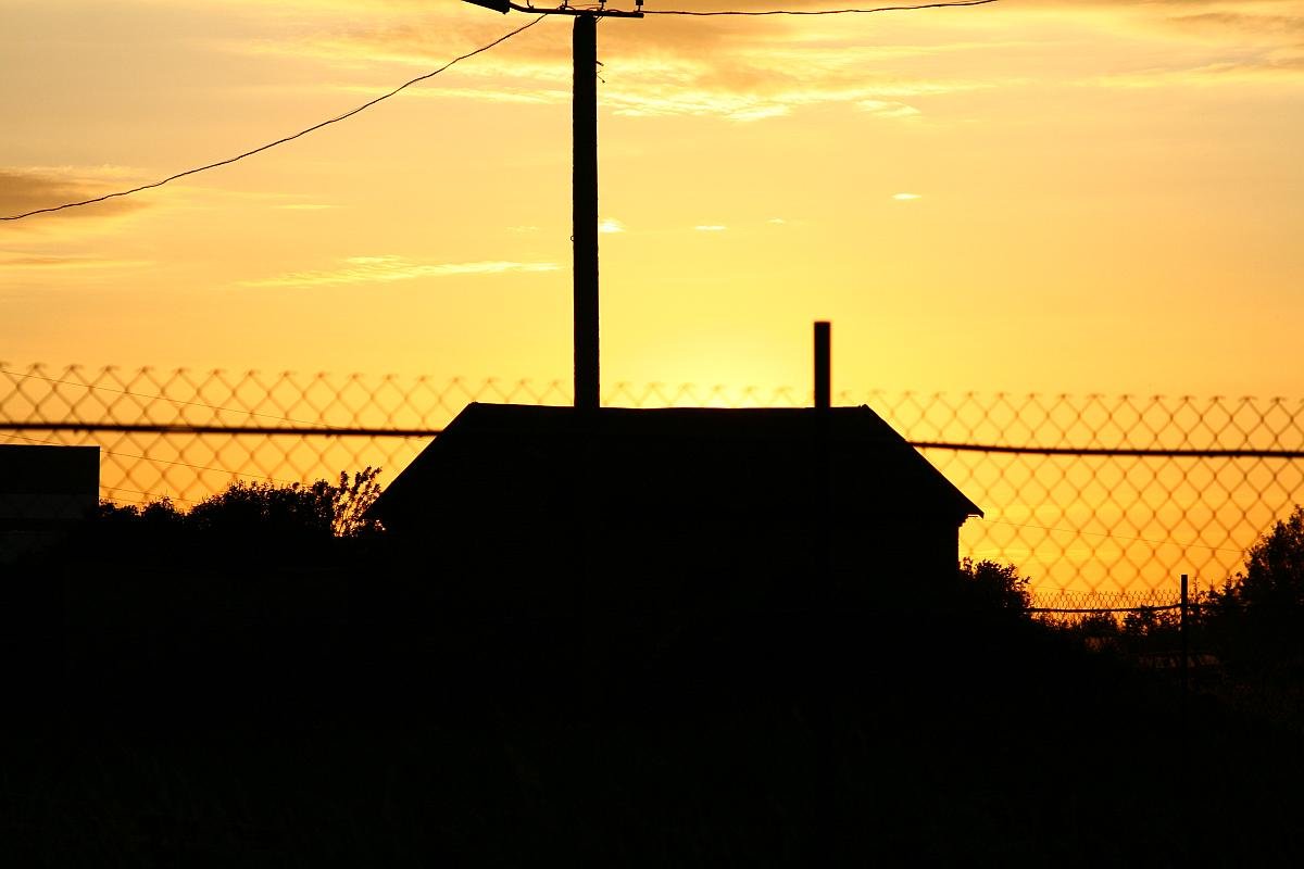 photo83.jpg