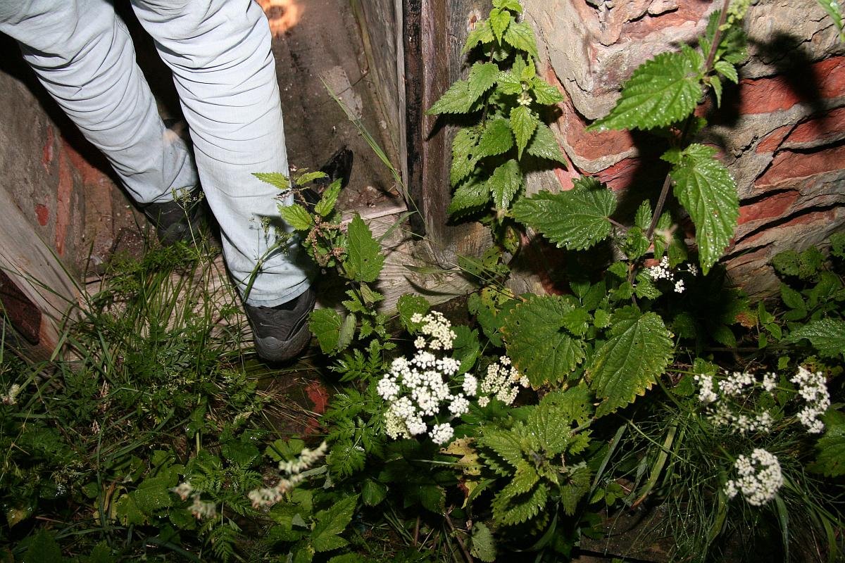 photo40.jpg