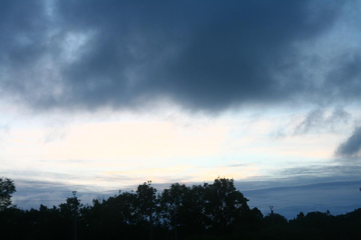 photo59.jpg