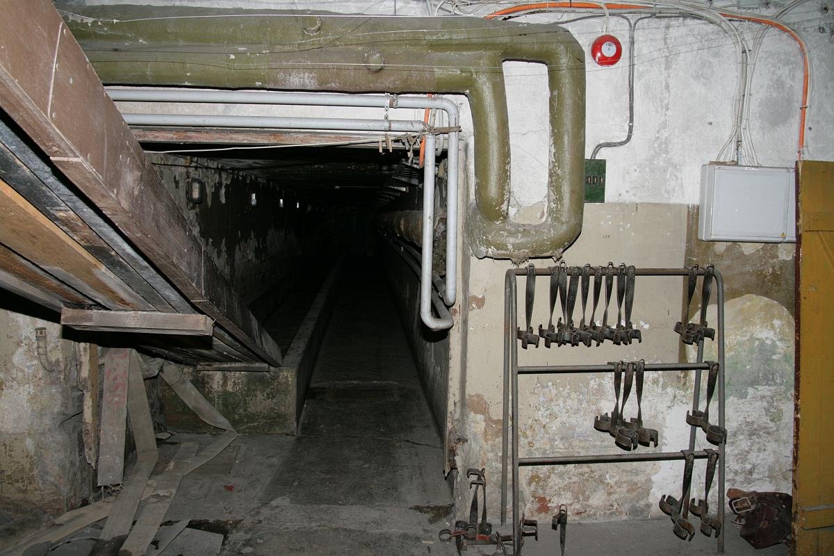 photo16.jpg
