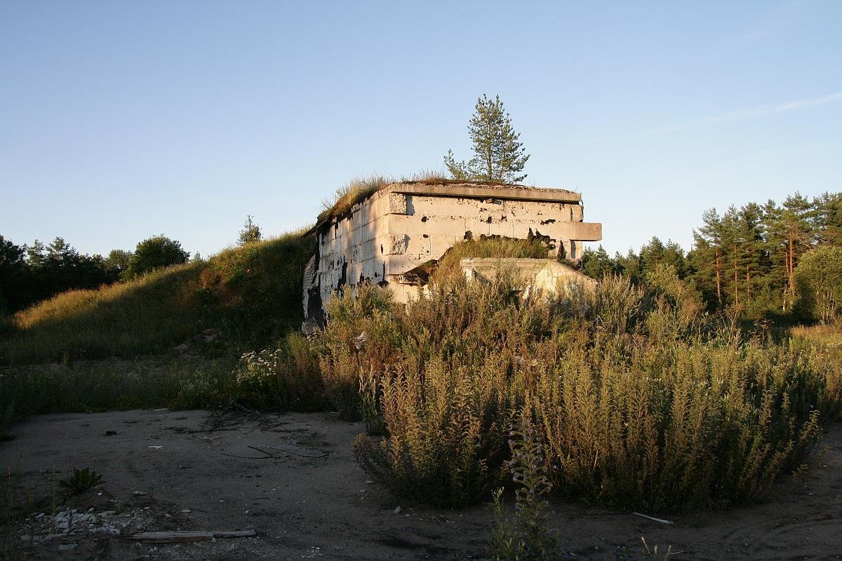 photo11.jpg