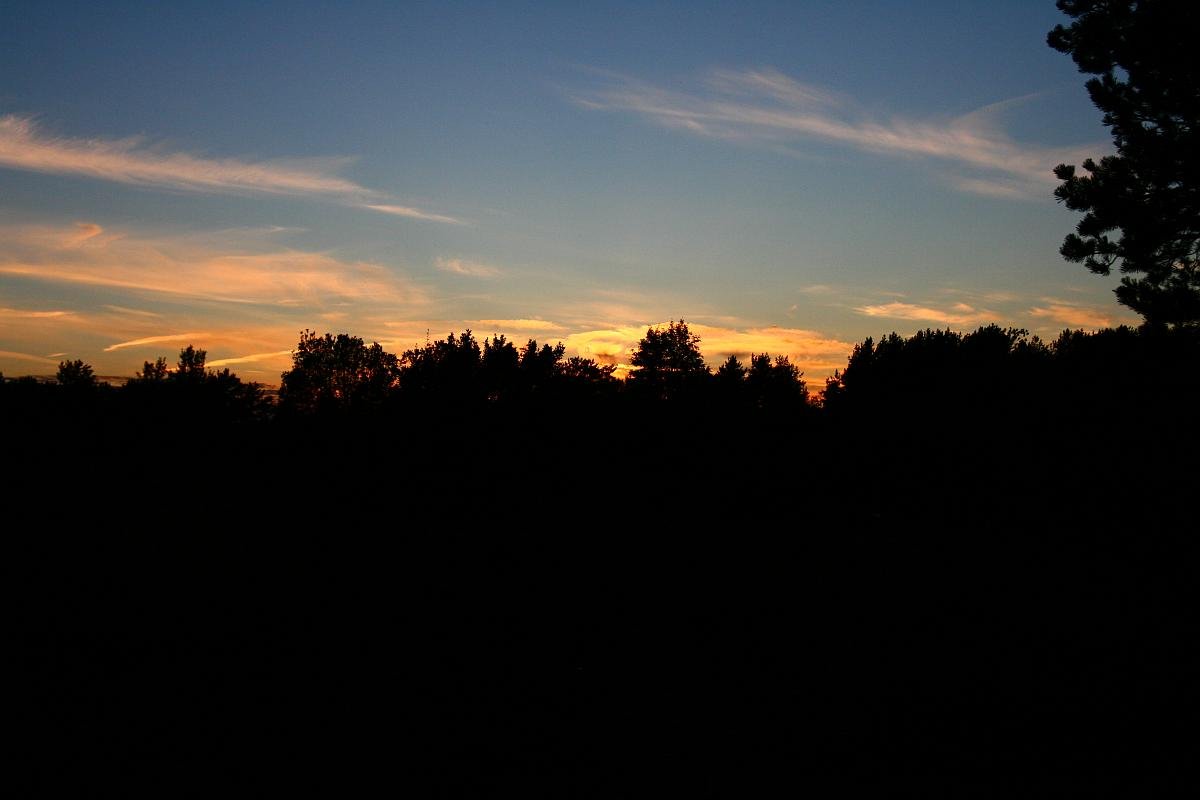 photo51.jpg
