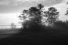 photo88_small.jpg
