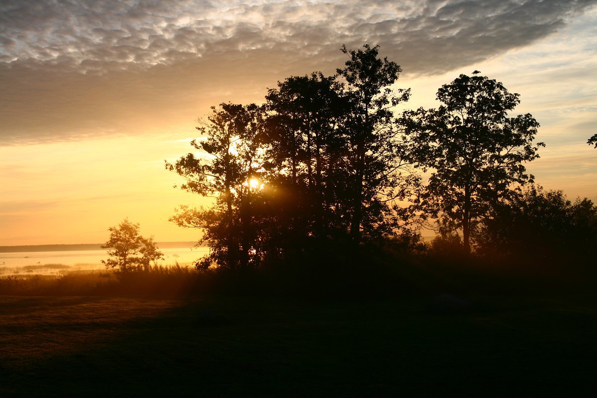 photo89.jpg