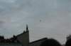 photo176_small.jpg