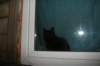 photo606_small.jpg