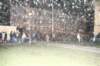 photo348_small.jpg