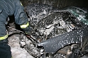 IMG_8192_Resize