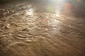 IMG_8252_Resize