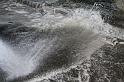 IMG_8276_Resize