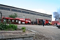 IMG_6231_Resize
