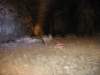 Photo Number 4