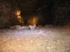 Photo Number 5